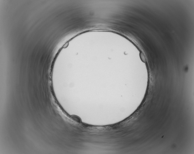 X0000115001485200912071128