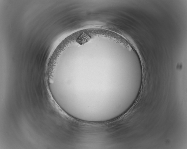 X0000115001488200912071128