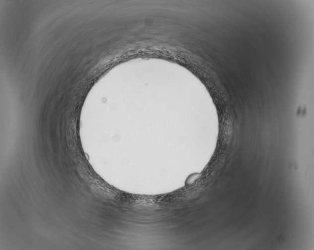 X0000115001489200912071127