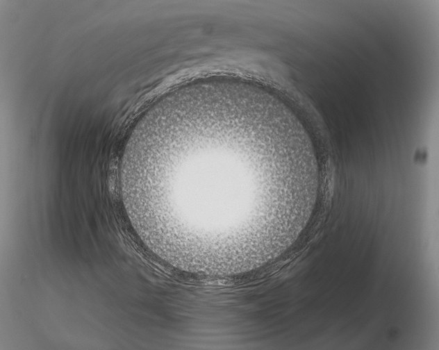 X0000115001490200912071127