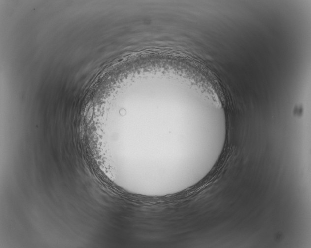 X0000115001491200912071127