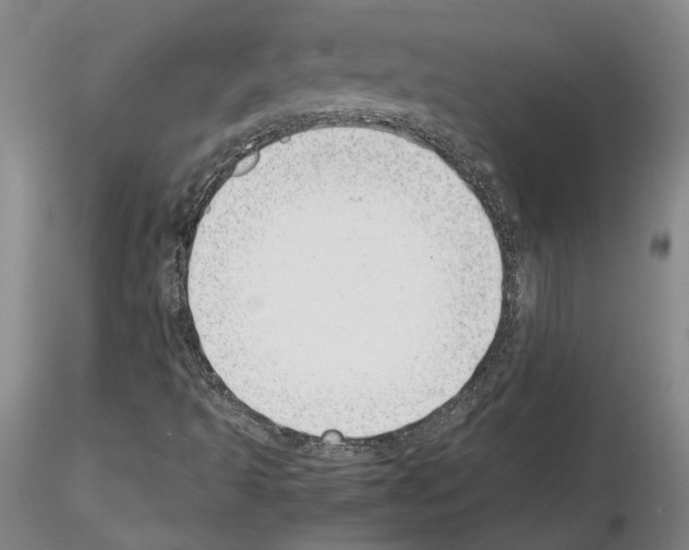 X0000115001493200912071127