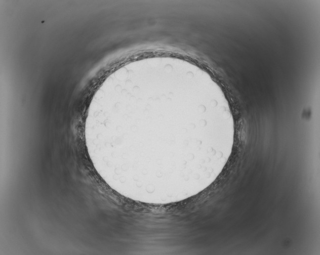 X0000115001495200912071127