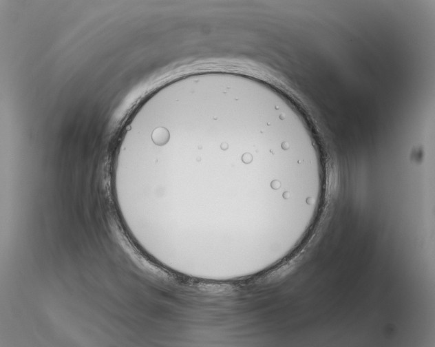 X0000115001498200912071127