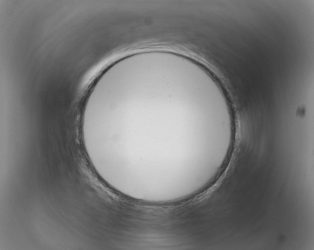 X0000115001502200912071127