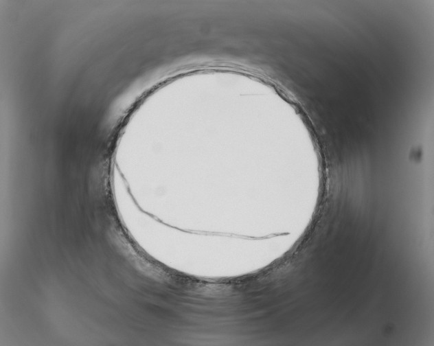 X0000115001503200912071127