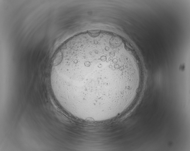 X0000115001505200912071127