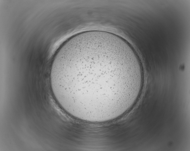 X0000115001507200912071127