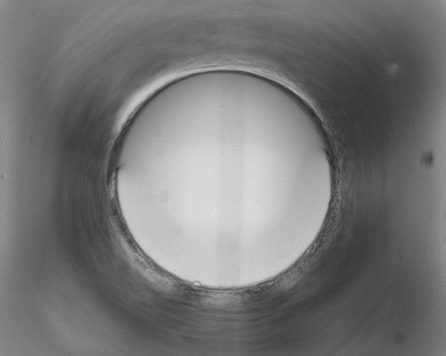 X0000115001510200912071127