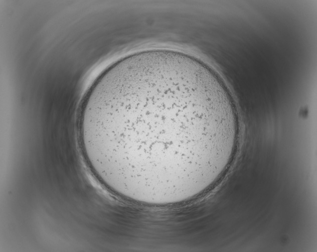 X0000115001511200912071128