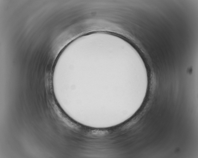 X0000115001513200912071128