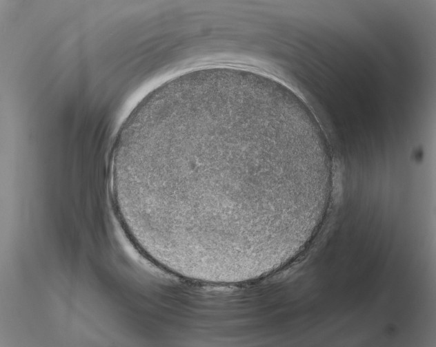 X0000115001515200912071128