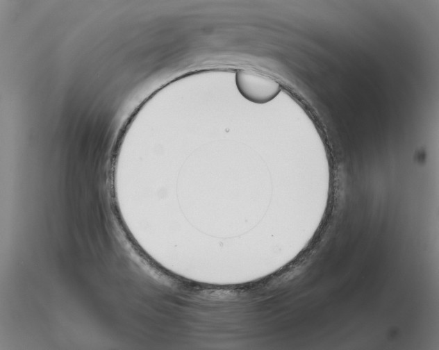 X0000115001517200912071128