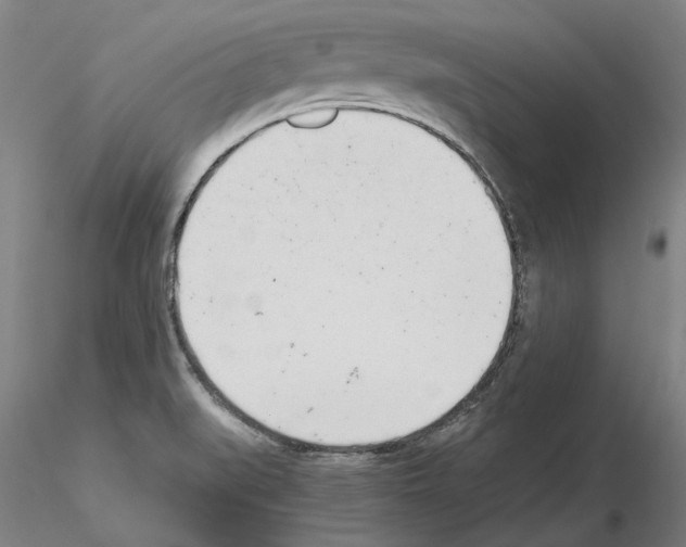 X0000115001519200912071128