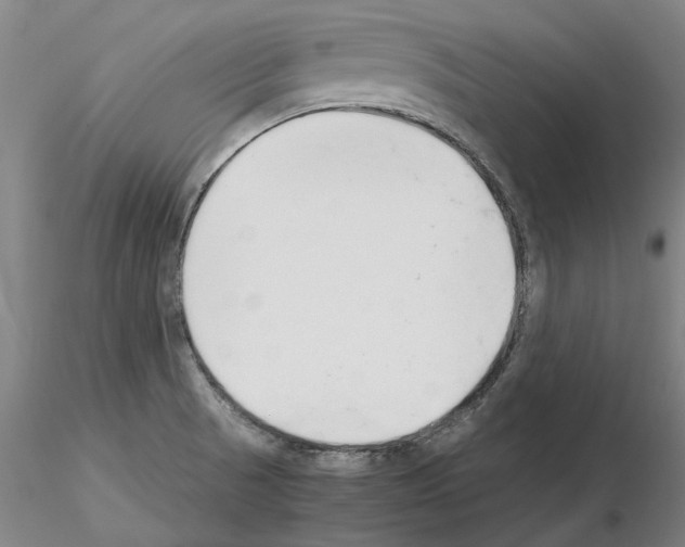 X0000115001521200912071128