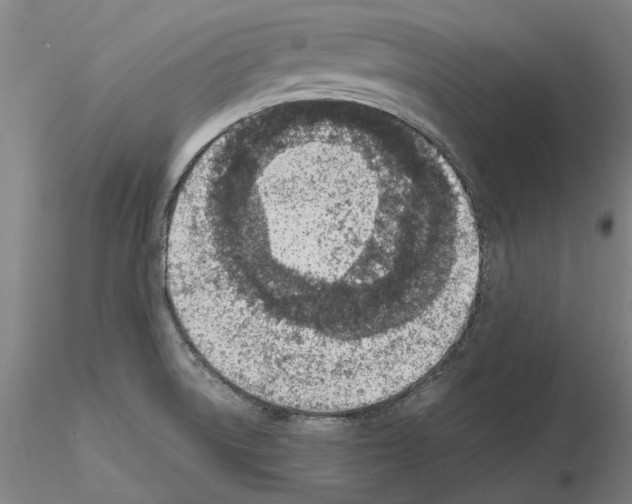 X0000115001522200912071128