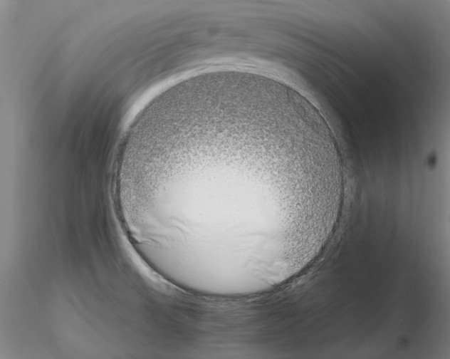 X0000115001523200912071128