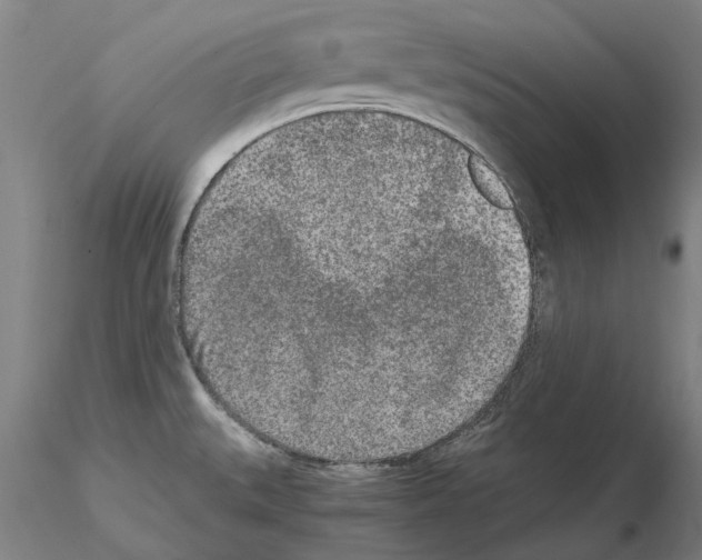 X0000115001527200912071128