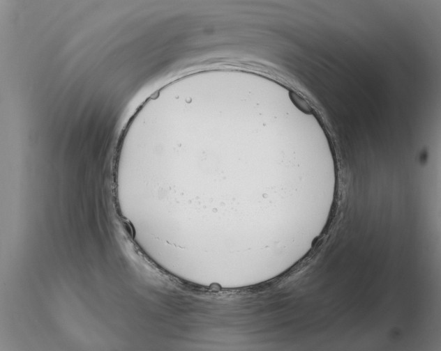 X0000115001530200912071128