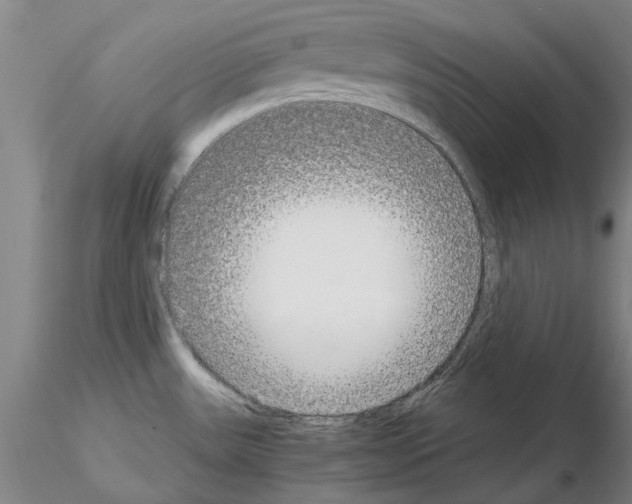 X0000115001531200912071128