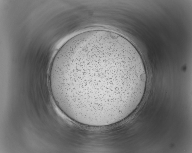 X0000115001535200912071128