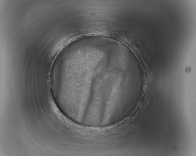 X0000115010002200911091431