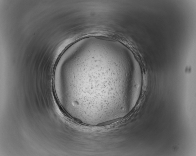 X0000115010003200911091431
