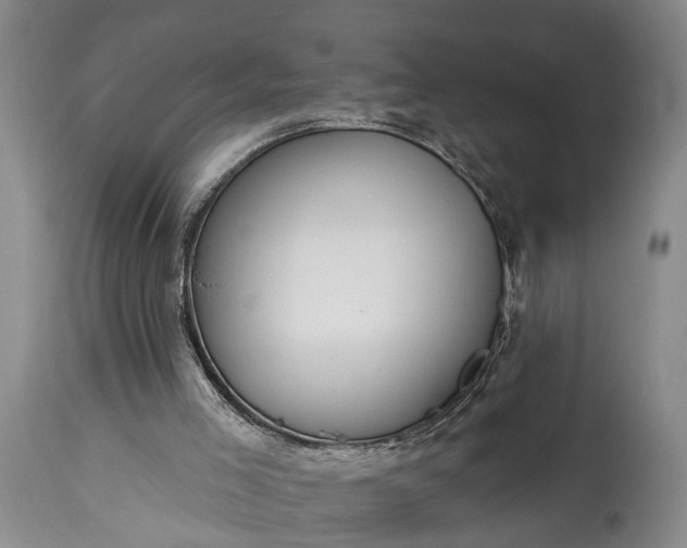 X0000115010005200911091431