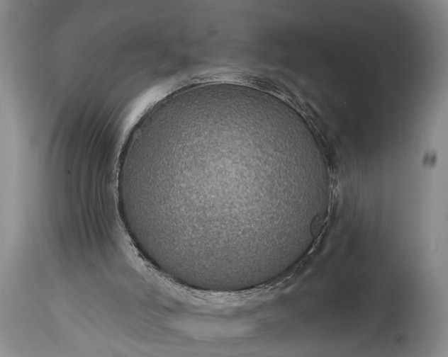 X0000115010006200911091431