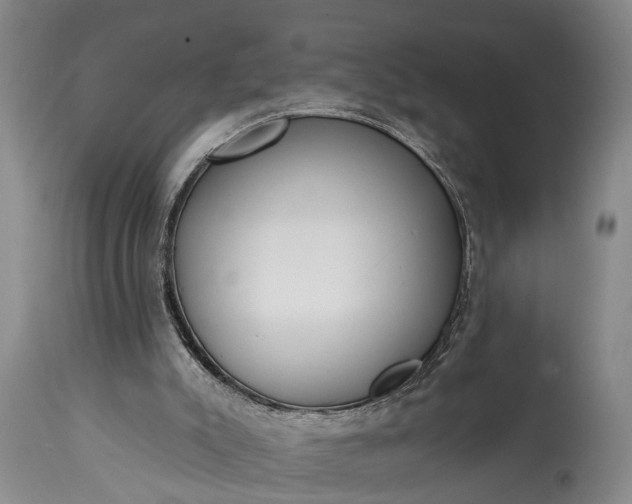 X0000115010007200911091431