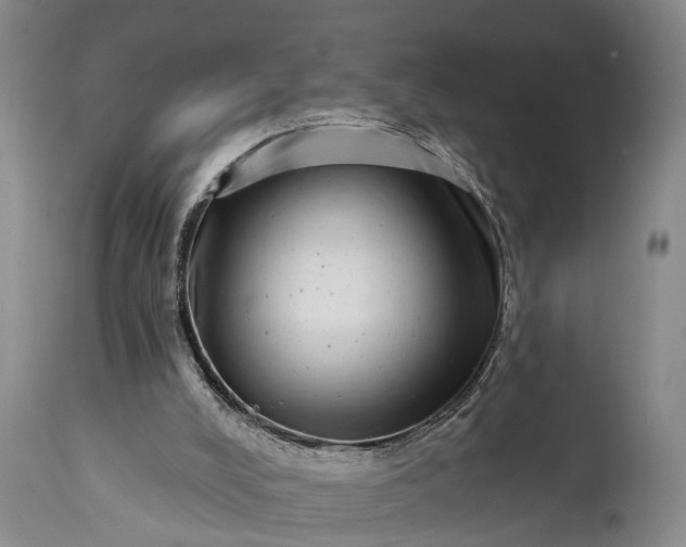 X0000115010008200911091431