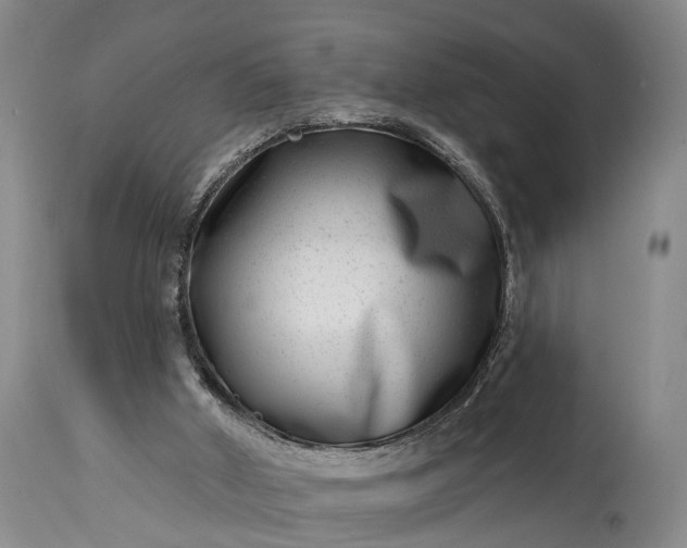 X0000115010010200911091431