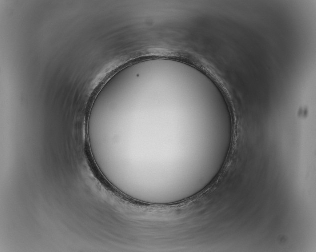X0000115010011200911091431