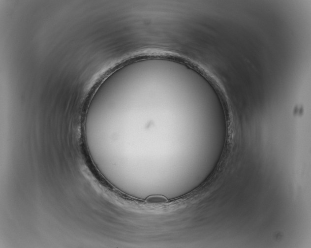 X0000115010015200911091430
