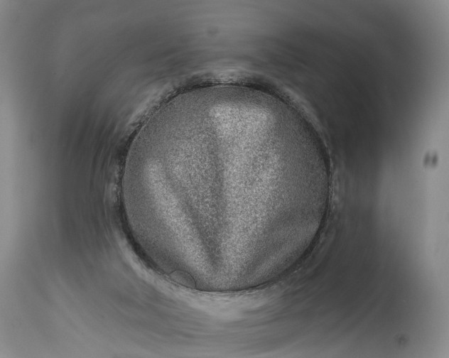 X0000115010018200911091430
