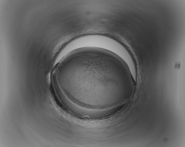X0000115010019200911091430