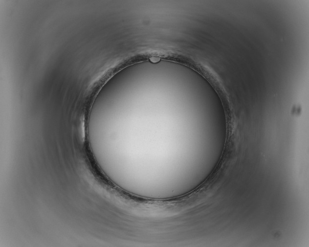 X0000115010020200911091430