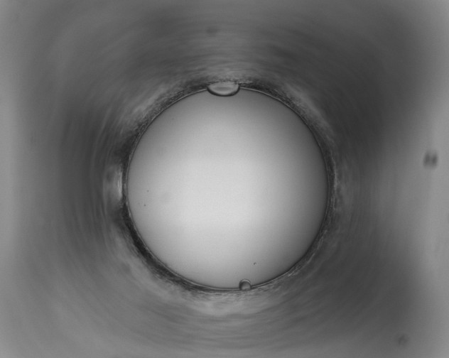 X0000115010021200911091430