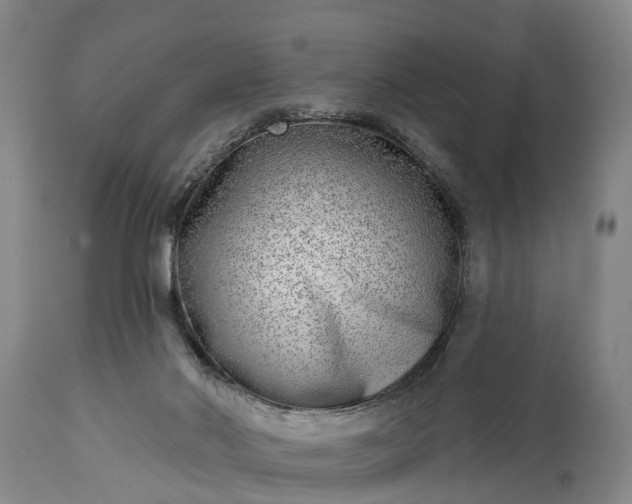 X0000115010022200911091430