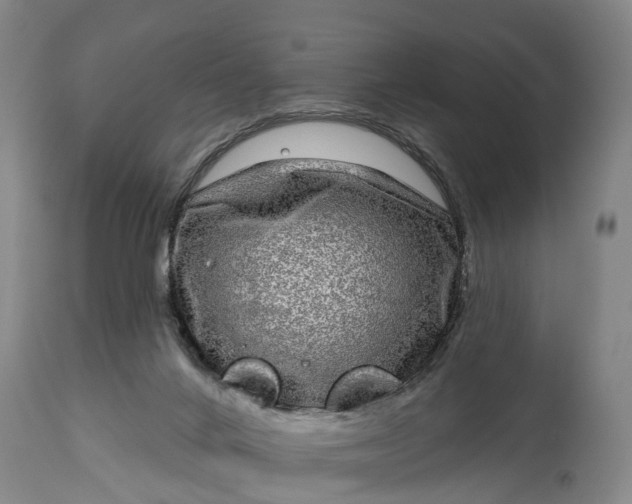 X0000115010024200911091430