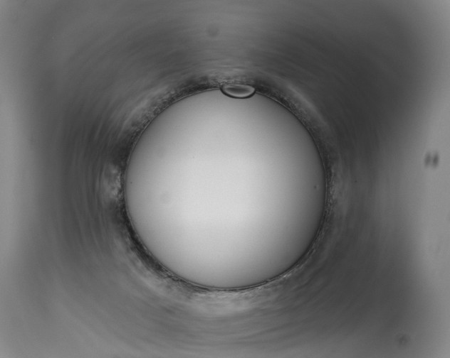 X0000115010025200911091430