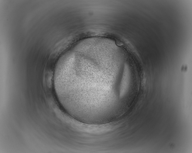 X0000115010026200911091430