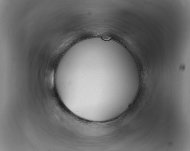 X0000115010028200911091430