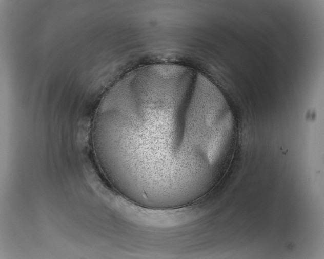 X0000115010030200911091430