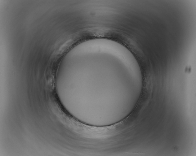 X0000115010031200911091430