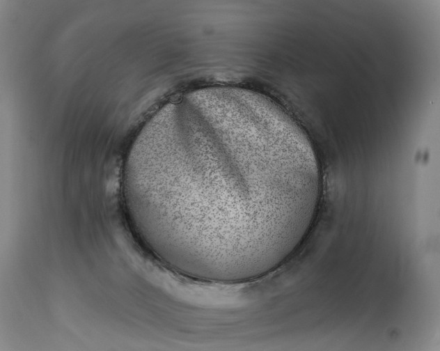 X0000115010032200911091430
