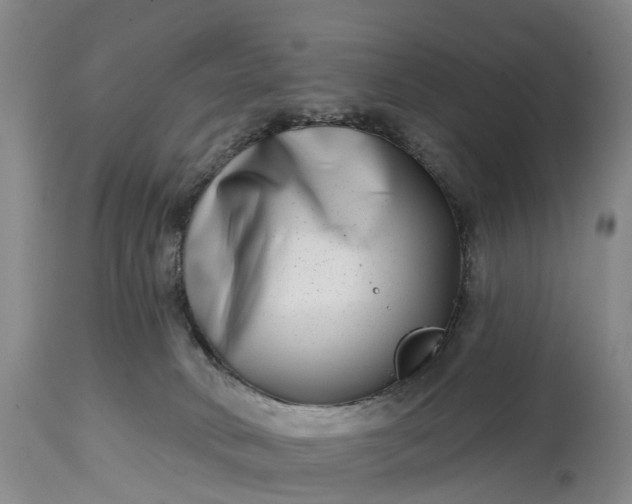 X0000115010034200911091430