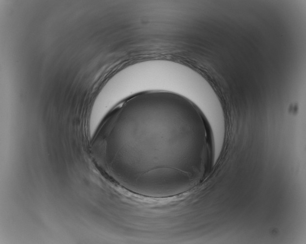 X0000115010035200911091430