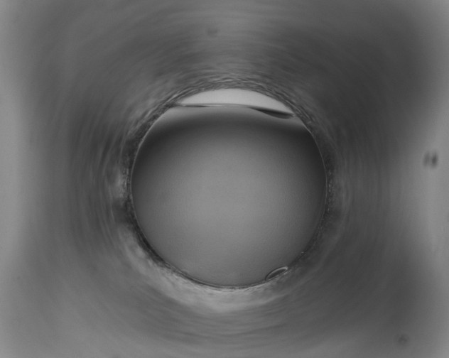 X0000115010039200911091430