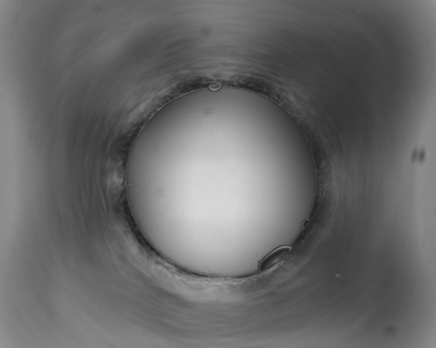 X0000115010040200911091430